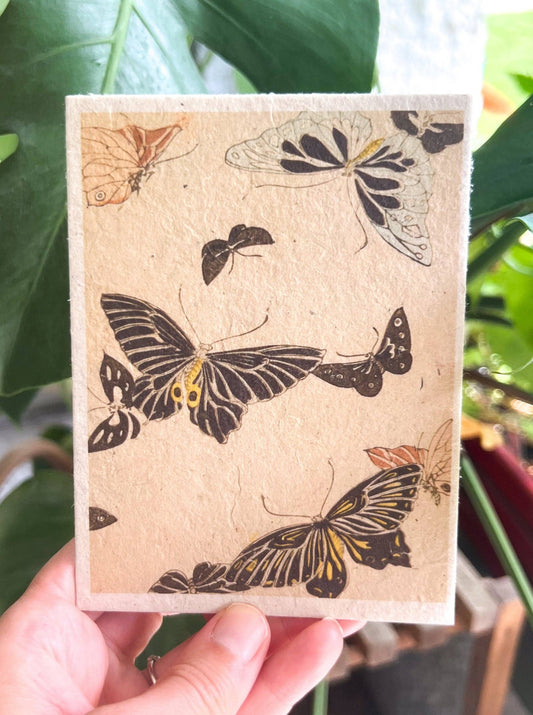 Marissa Kay Apothecary - Plantable Seed Card || Zero Waste || Supports Women J48