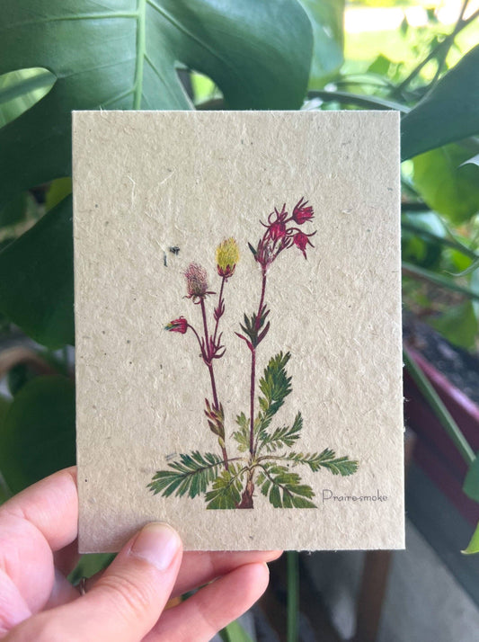 Marissa Kay Apothecary - Plantable Seed Card || Zero Waste || Supports Women MVW13